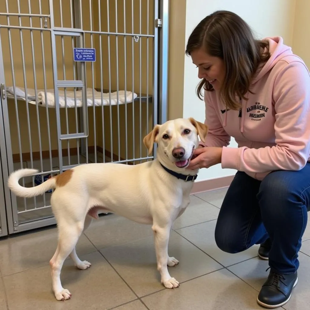 Meeting a dog at the Aberdeen SD Humane Society