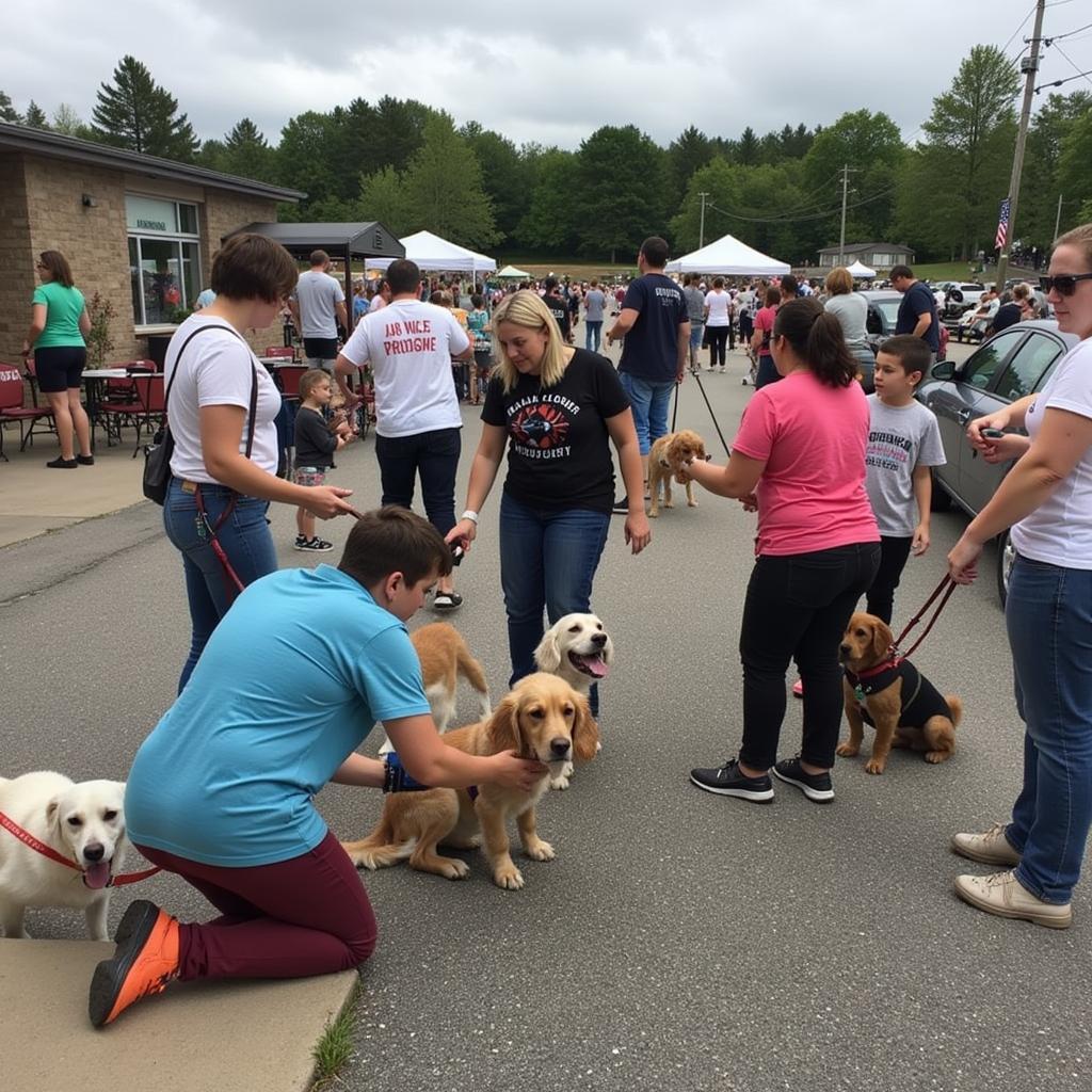 Addison County Humane Society Adoption Event