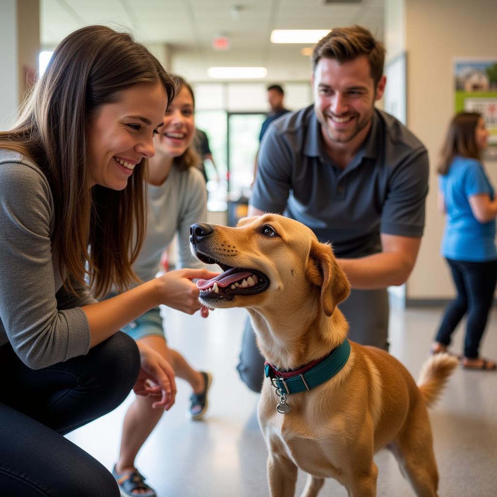 Adopting a Pet at Humane Society Greenwood