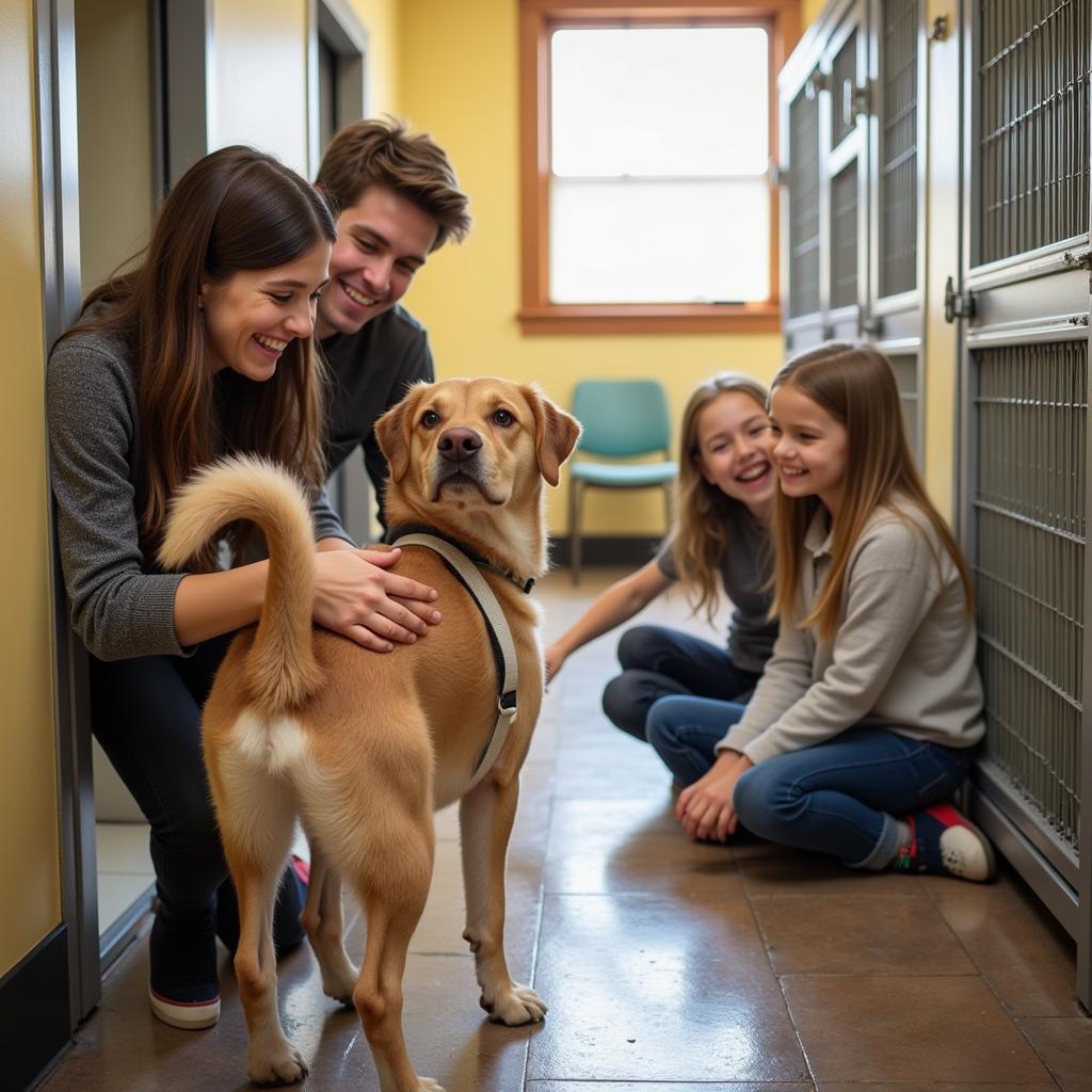 Family meeting adoptable dog at Springfield MA Humane Society