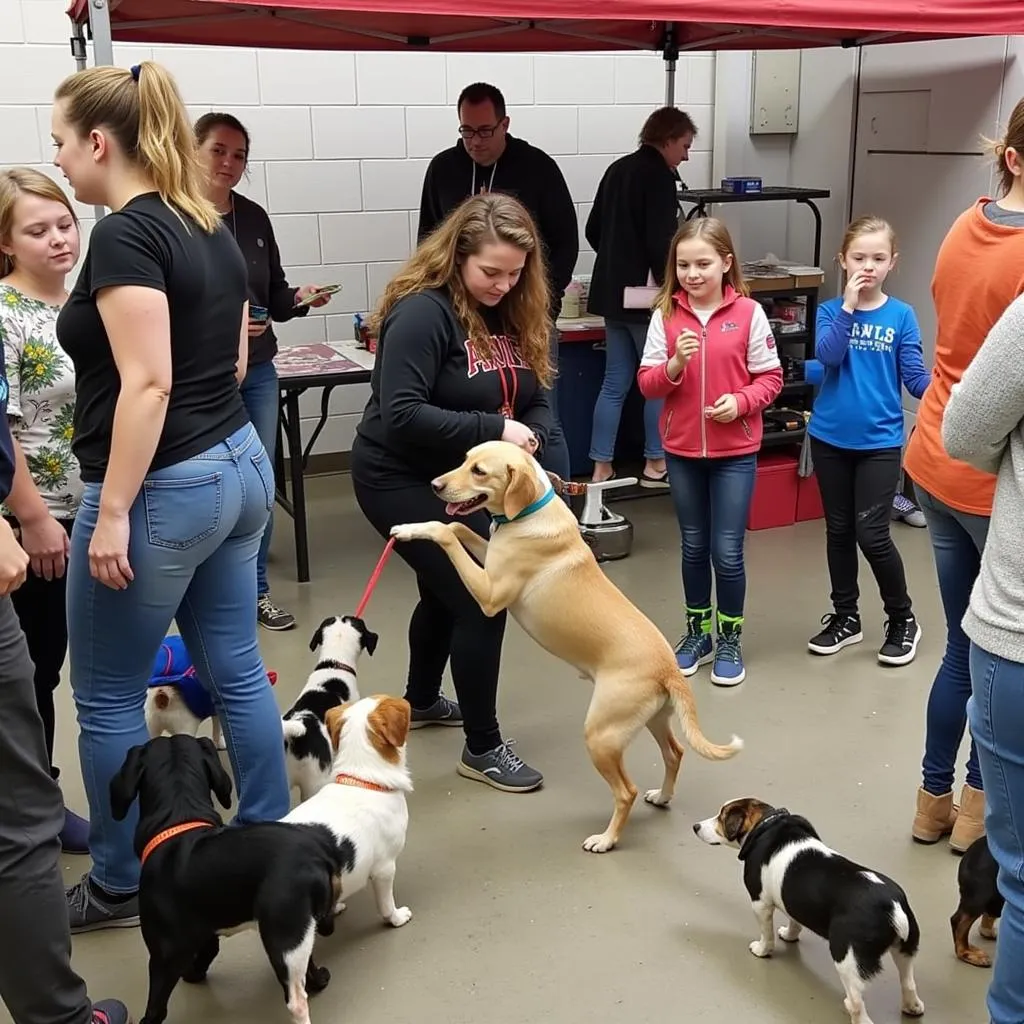 Akwesasne Animal Society Adoption Event