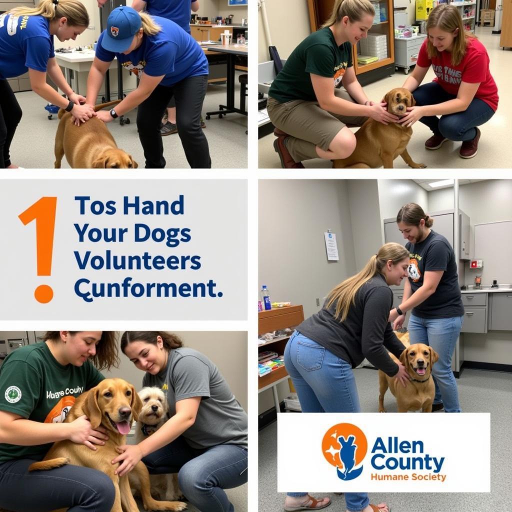 Volunteers at the Allen County Humane Society