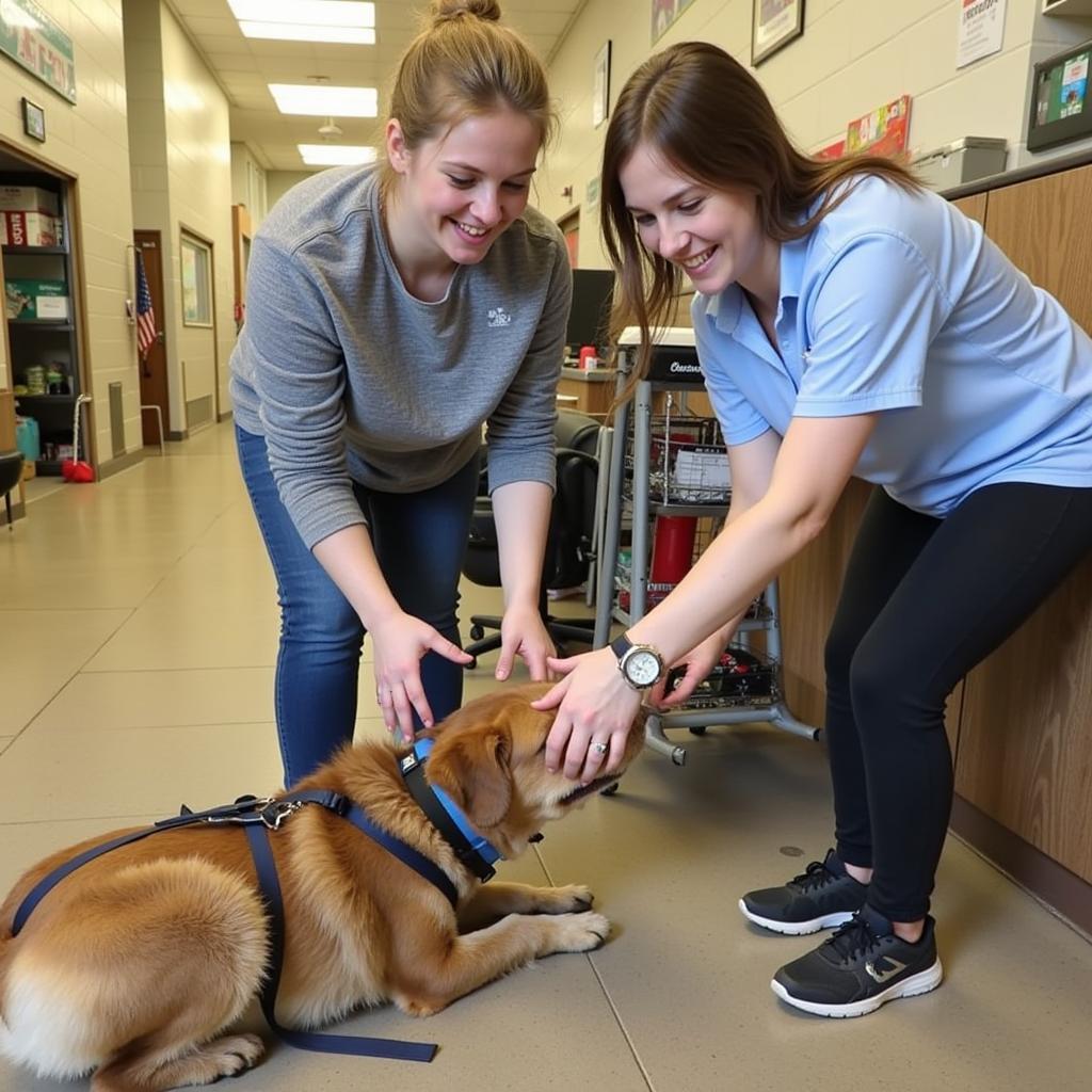 Altoona Humane Society Volunteers