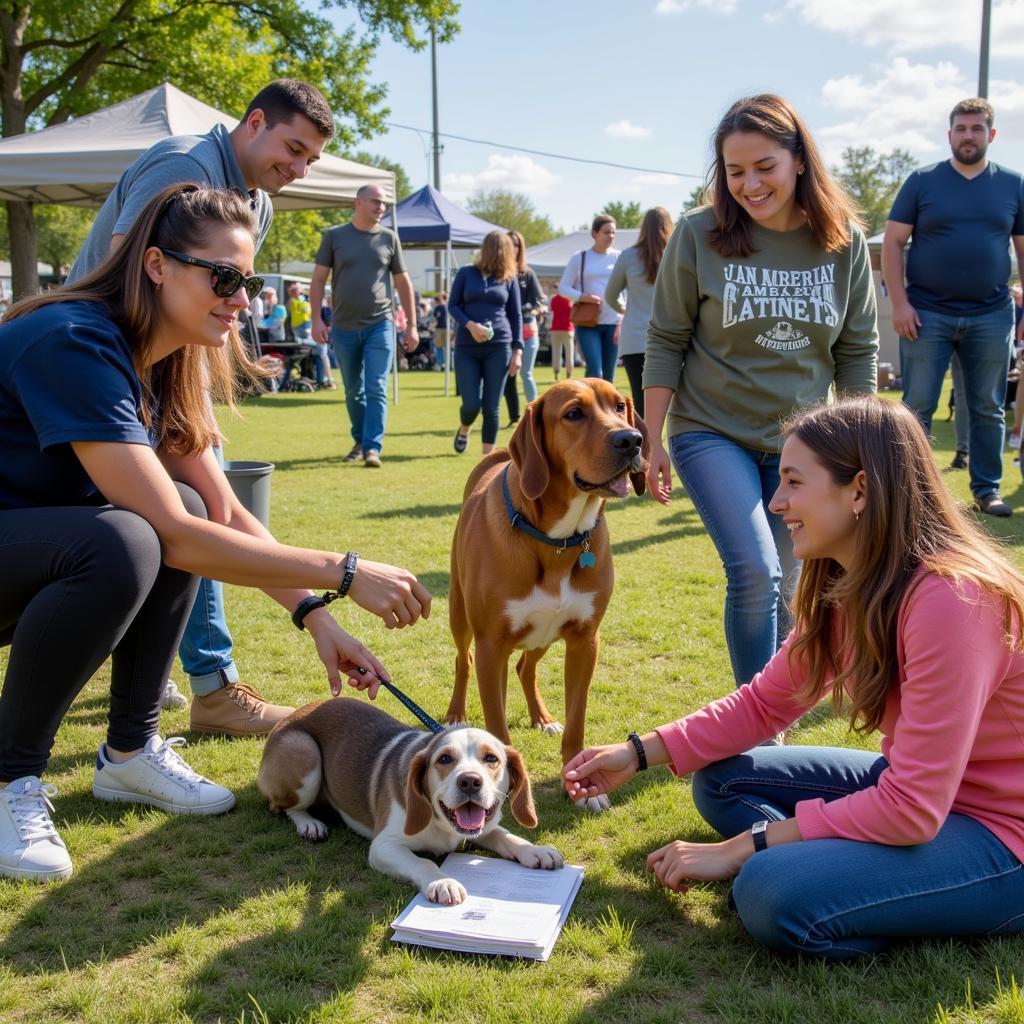 Animal Adoption Event