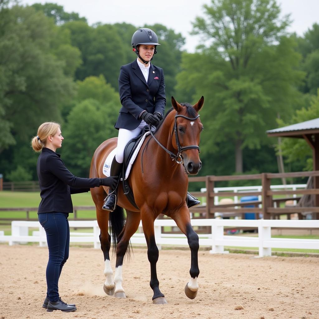 Dressage Training in Arkansas