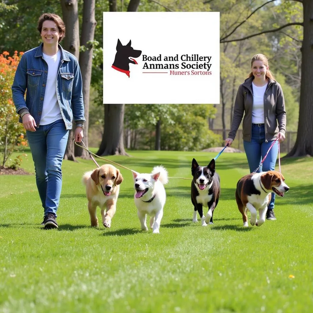 Volunteers Walking Dogs at the Associated Humane Society