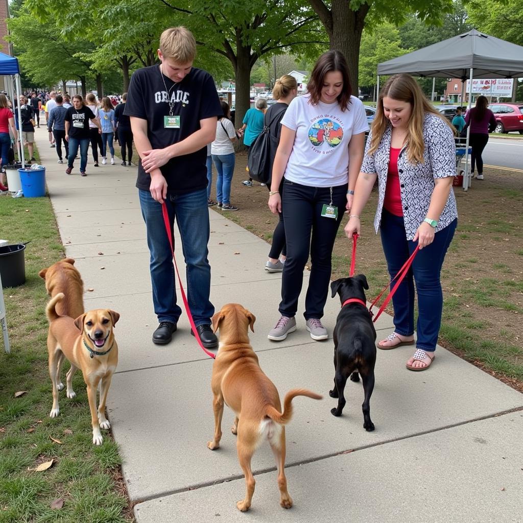 Finding Hope and Furry Friends at the Athens Ohio Humane Society