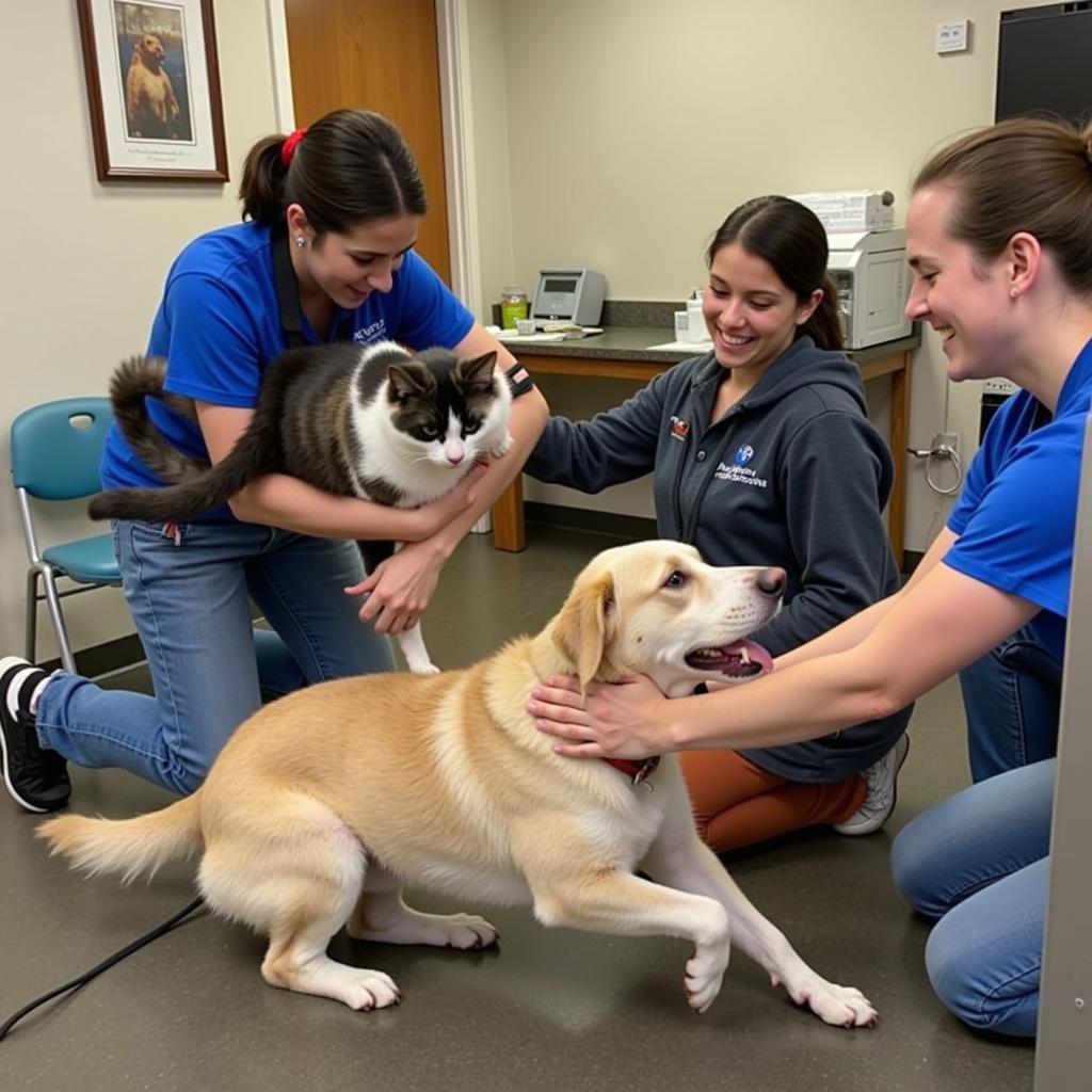 Volunteers Interacting with Animals at the Atlanta Humane Society