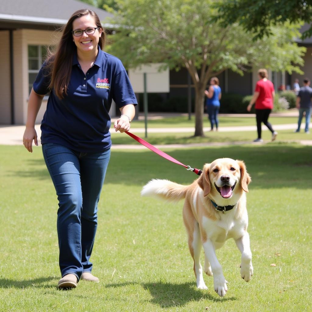 Volunteer Walking a Happy Dog at the Austin Humane Society