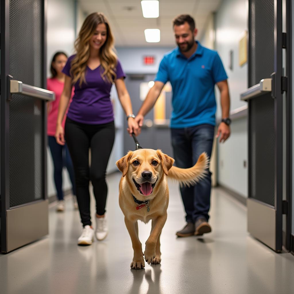 Avery Humane Society Photos: A Glimpse into Compassion and Care