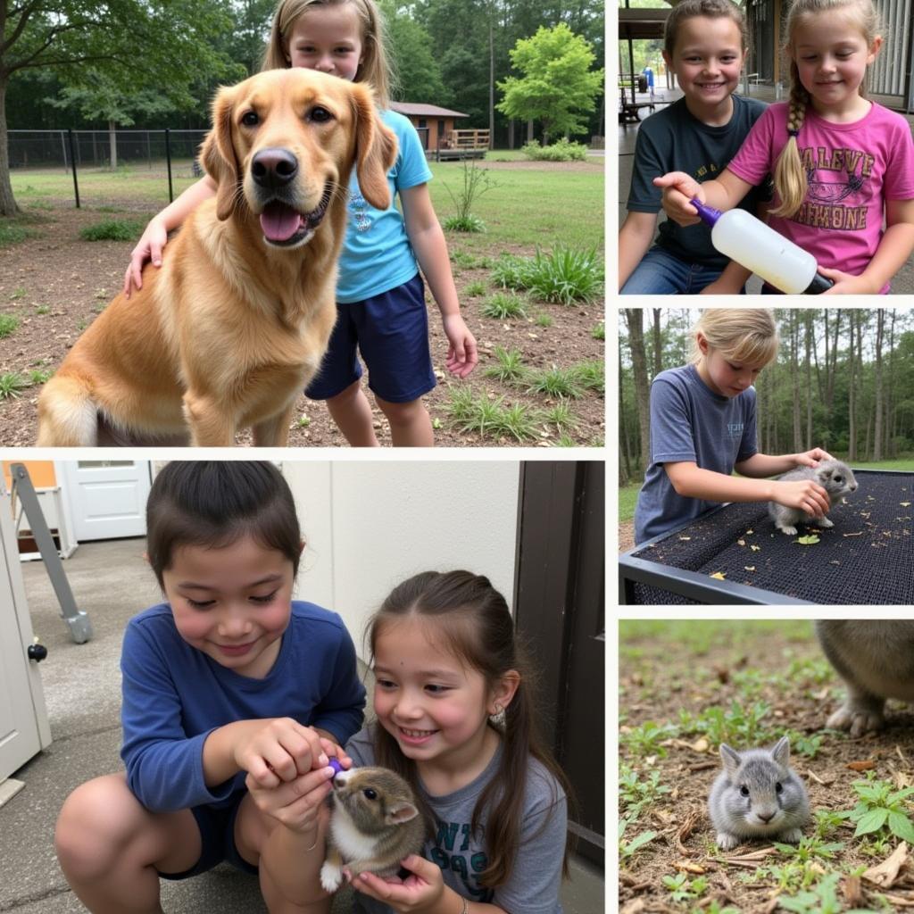 Campers interacting with animals at the AZ Humane Society Summer Camp