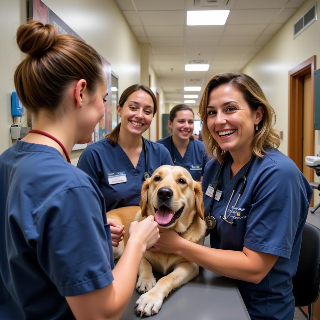 Veterinarians and staff members at the AZ Humane Society Vet Clinic