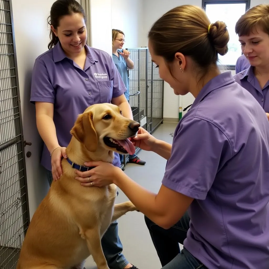 Volunteers Caring for Animals at Barron Humane Society