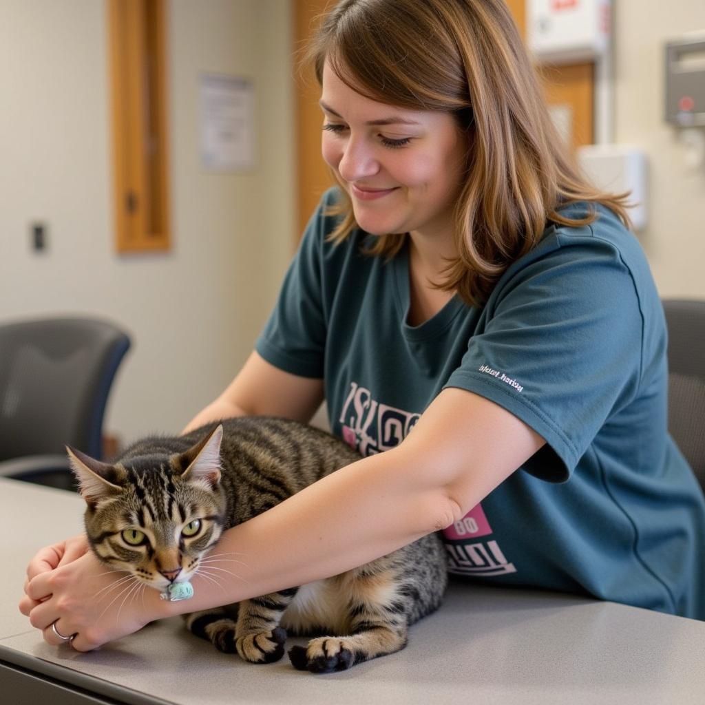 Volunteering at the Bemidji Humane Society