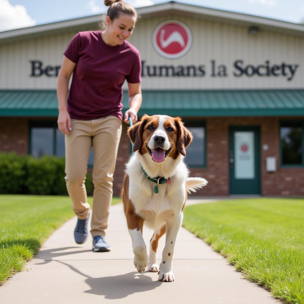 Happy dog on a leash enjoying a walk with a volunteer at Benton County Humane Society