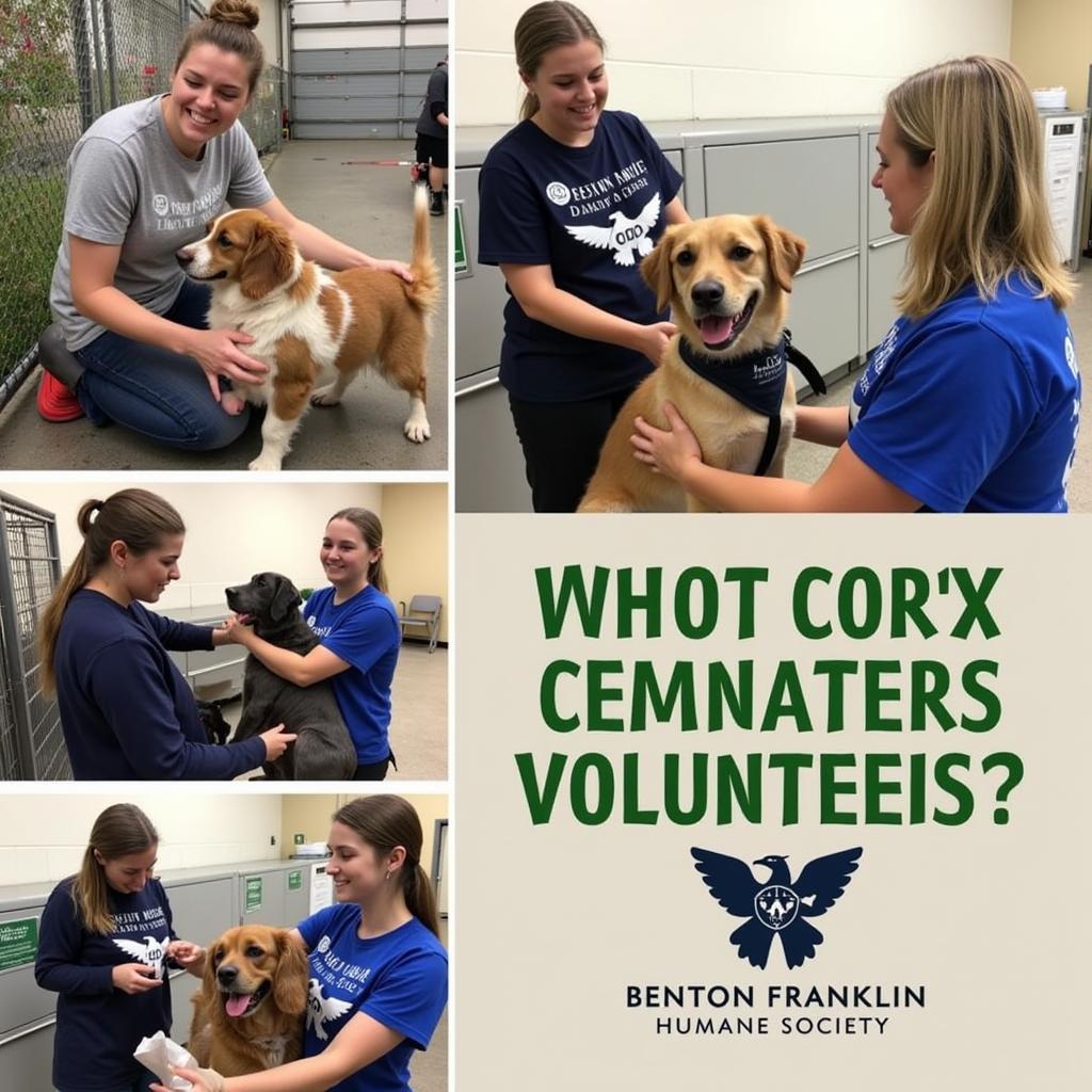 Volunteers at Benton Franklin Humane Society