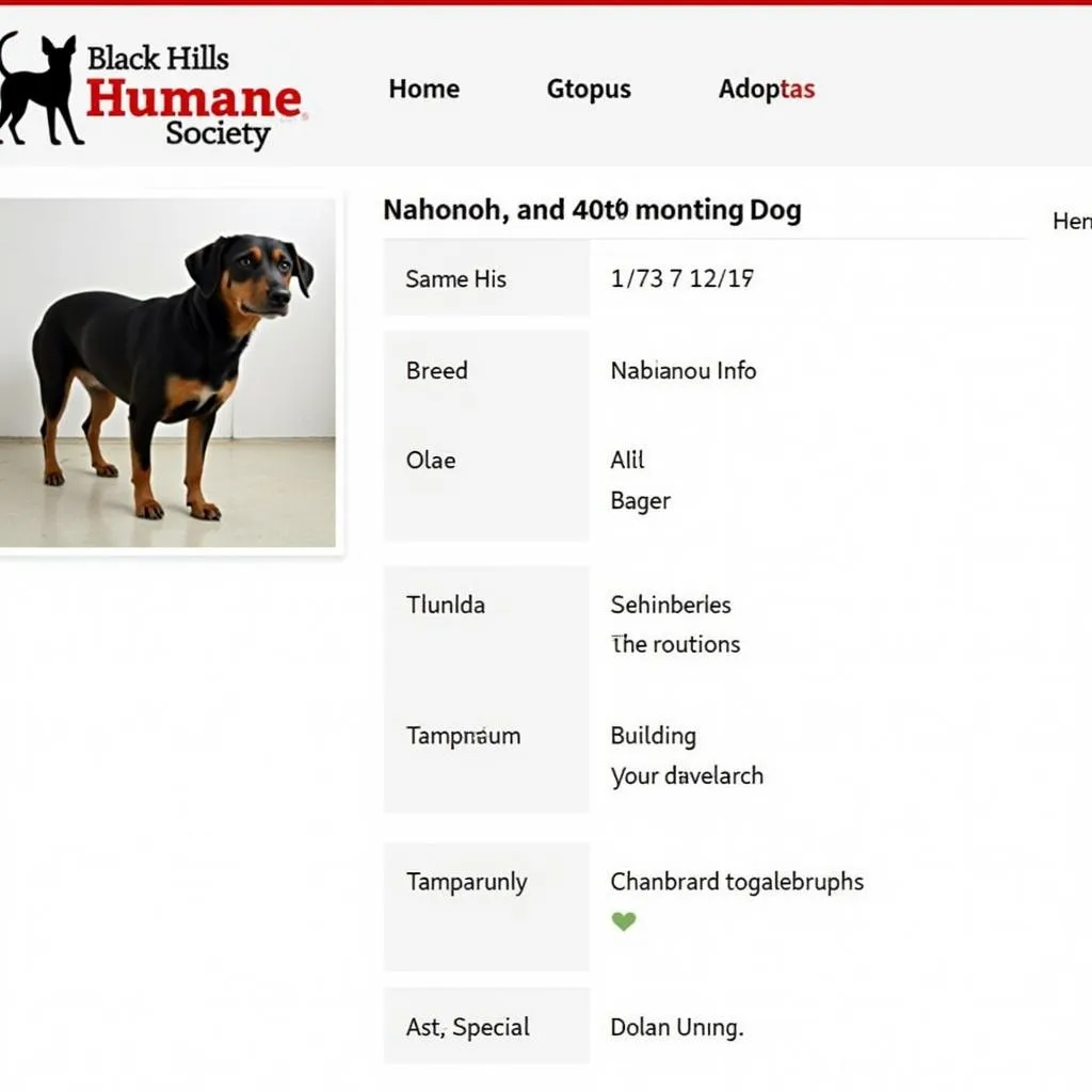 Online profile showcasing a Black Hills Humane Society dog available for adoption.