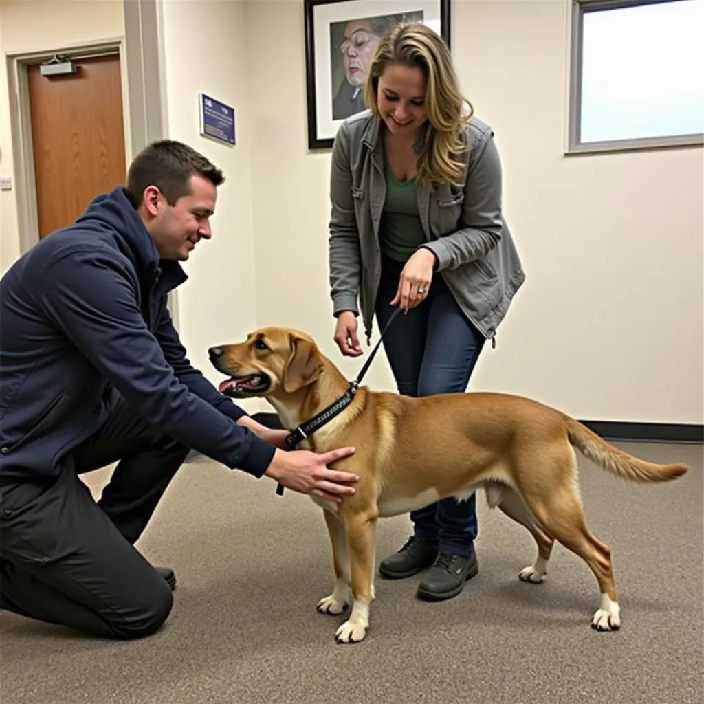 A dog and their owner participating in a training class at the Black Hills Humane Society.