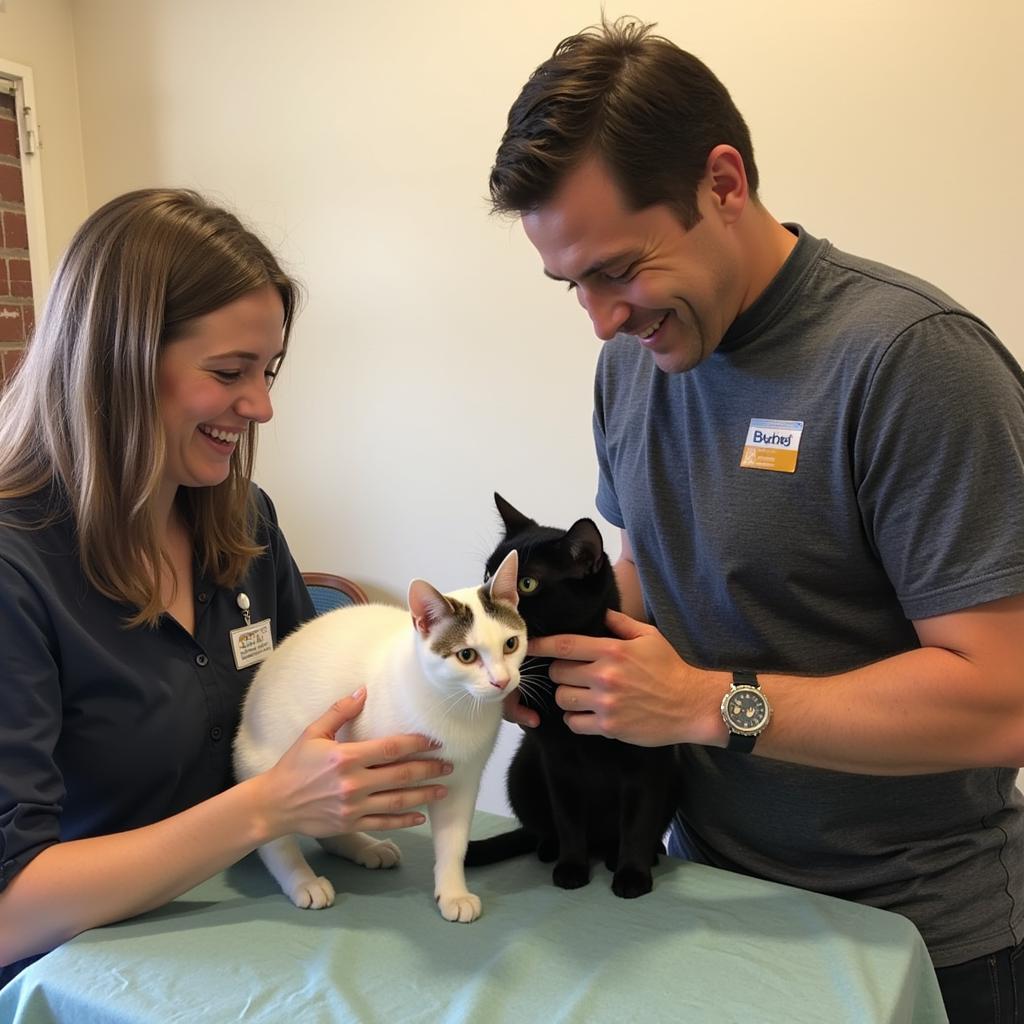 A BCHS adoption counselor interacts with a couple interested in adopting a cat