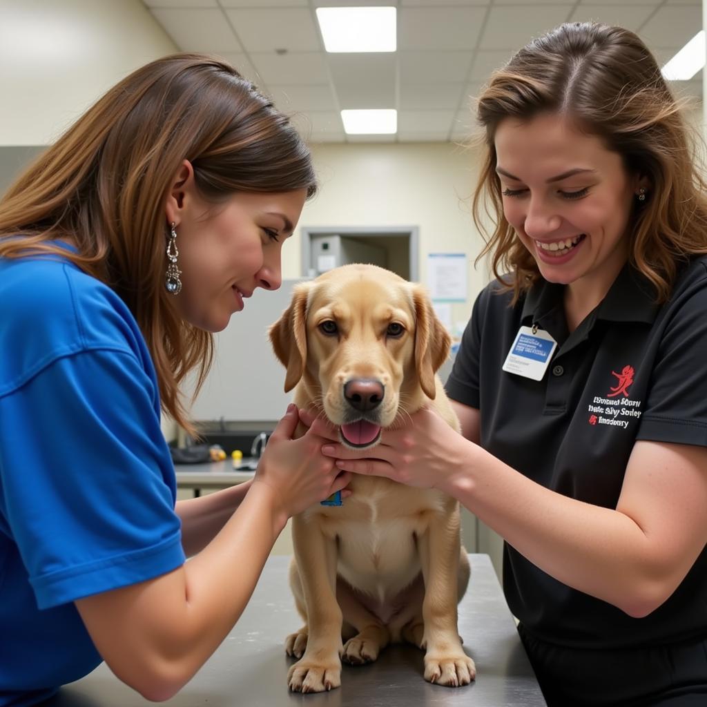 Volunteers at the Branch County Humane Society