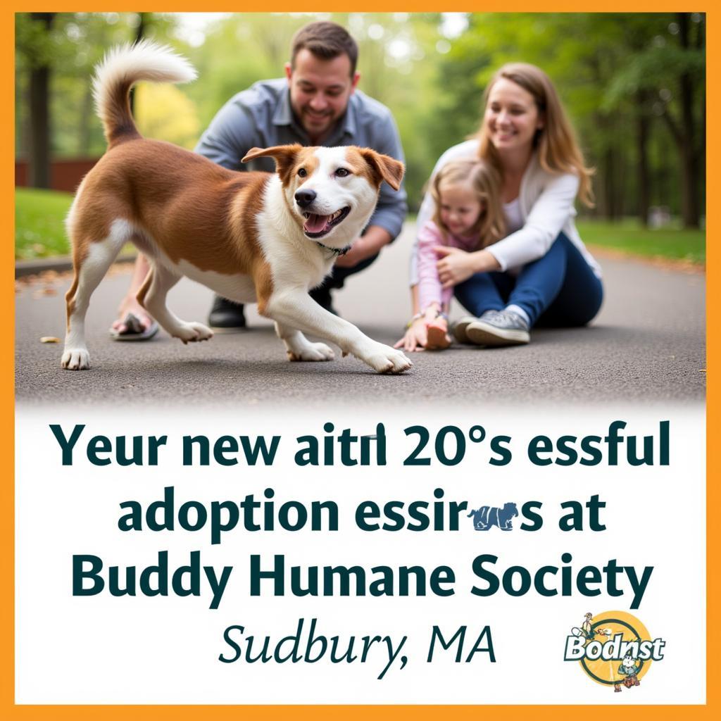 Happy Dog Adopted from Buddy Humane Society Sudbury MA