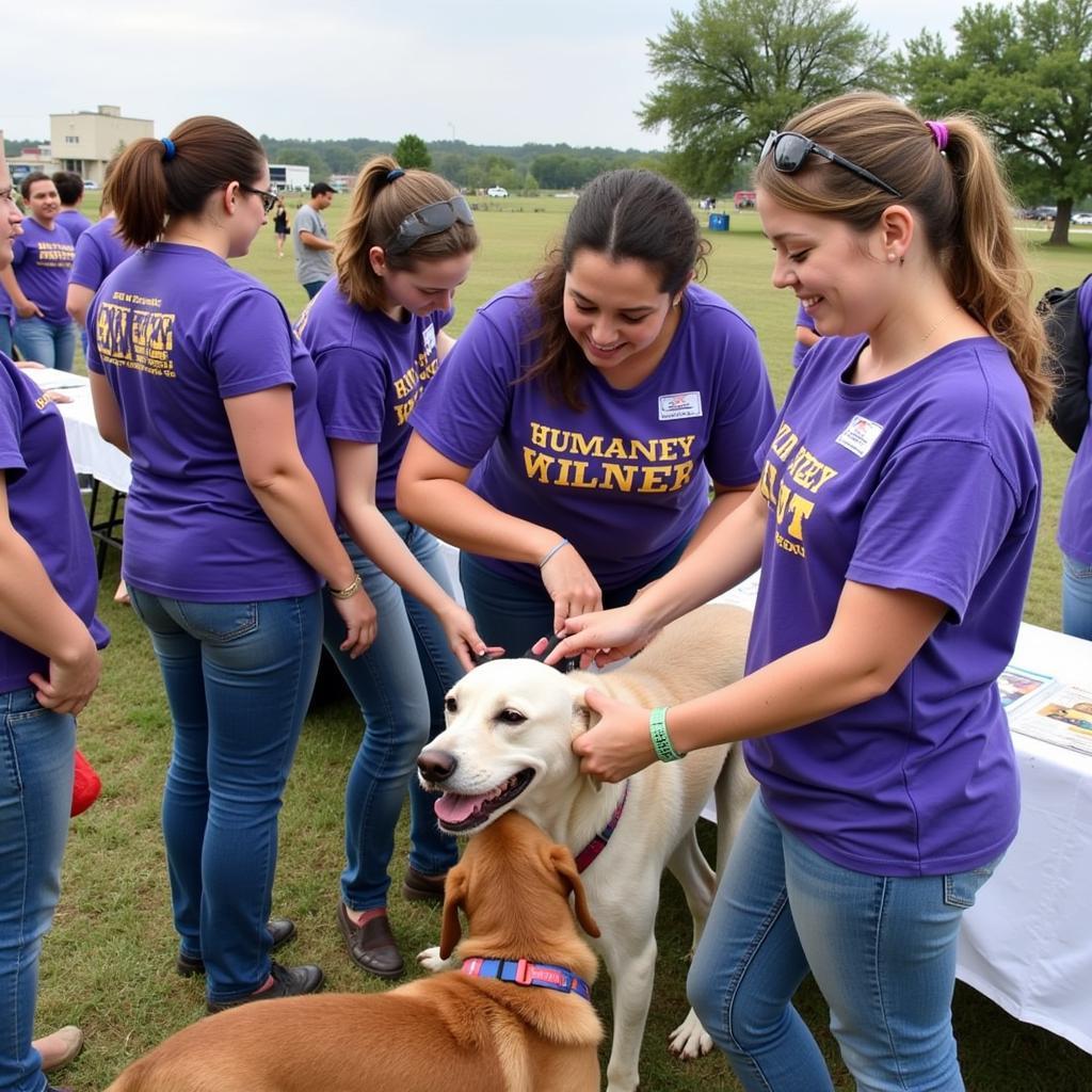 Finding Hope and Furry Friends: Your Guide to Bulverde Area Humane Society