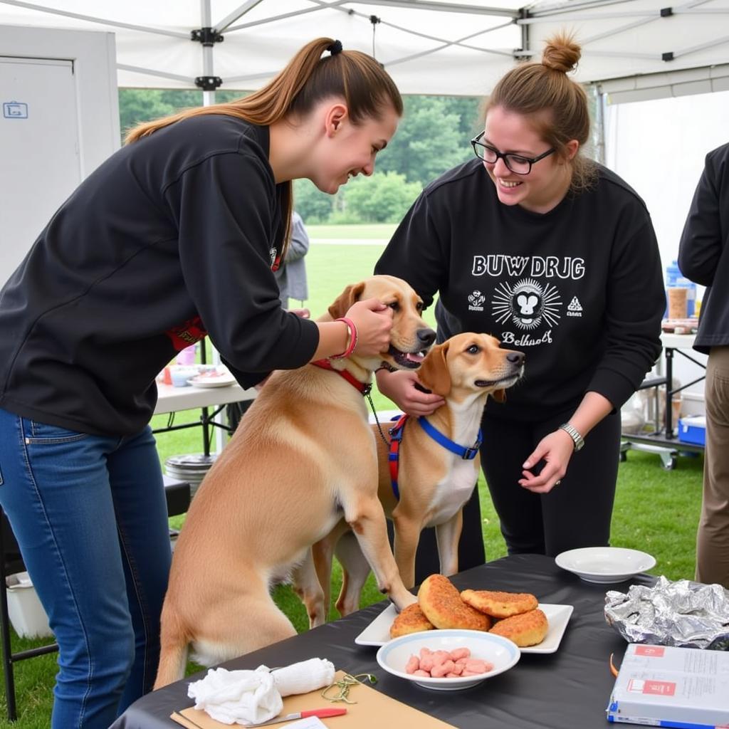 Volunteers interacting with animals at a Burlington VT Humane Society adoption event