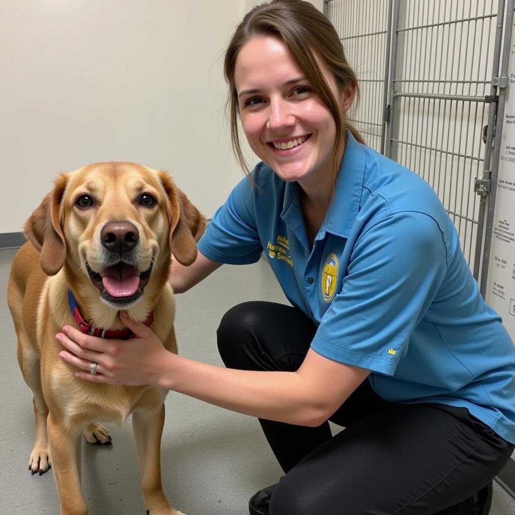 Animal Caretaker at Butler County Humane Society