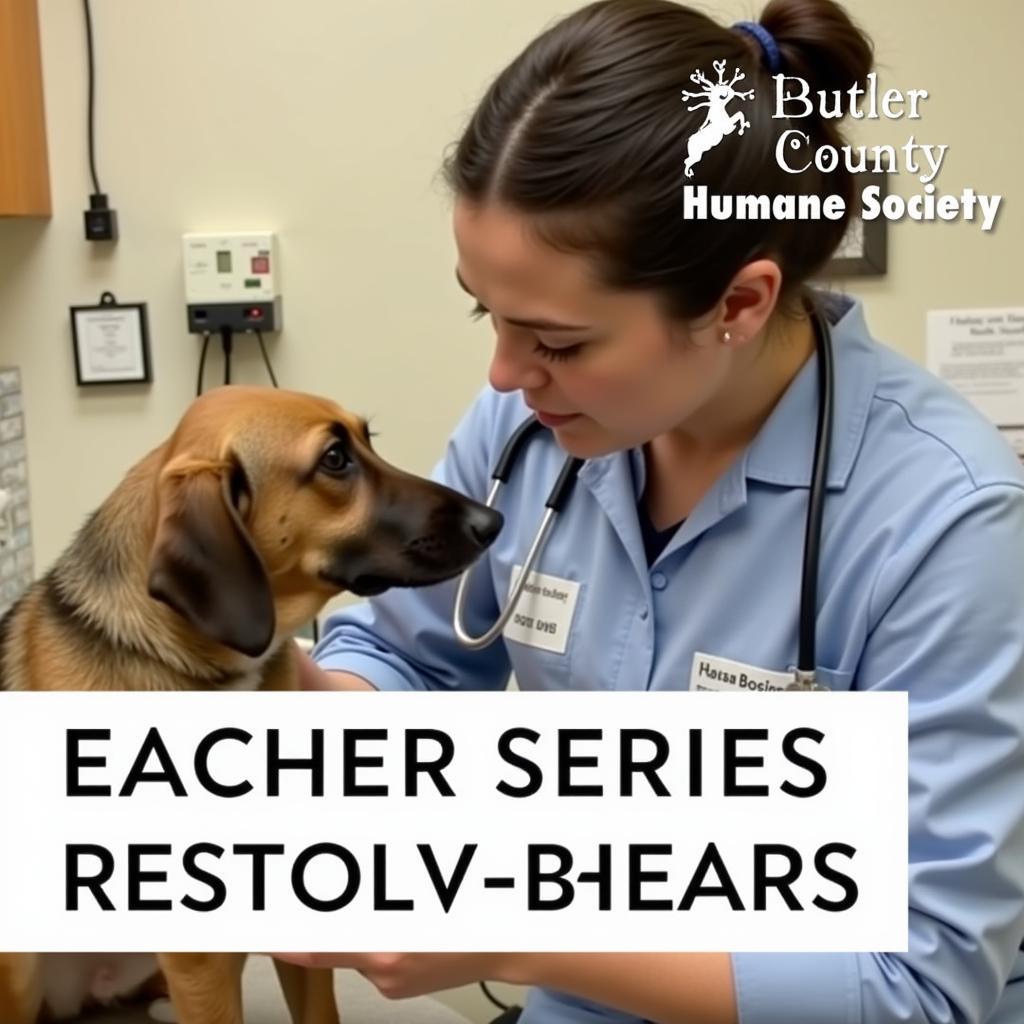 Veterinary Care at the Butler County Humane Society