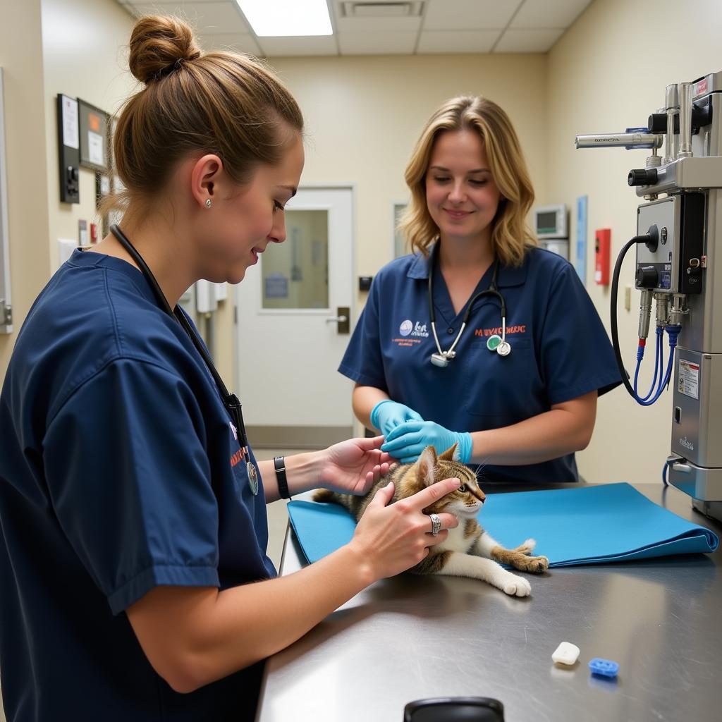 Veterinary Team at Butler County Humane Society