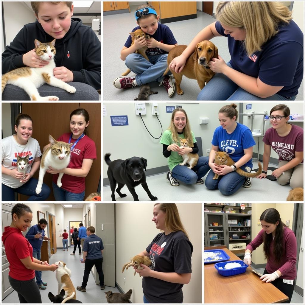 Volunteers at Caldwell County Humane Society