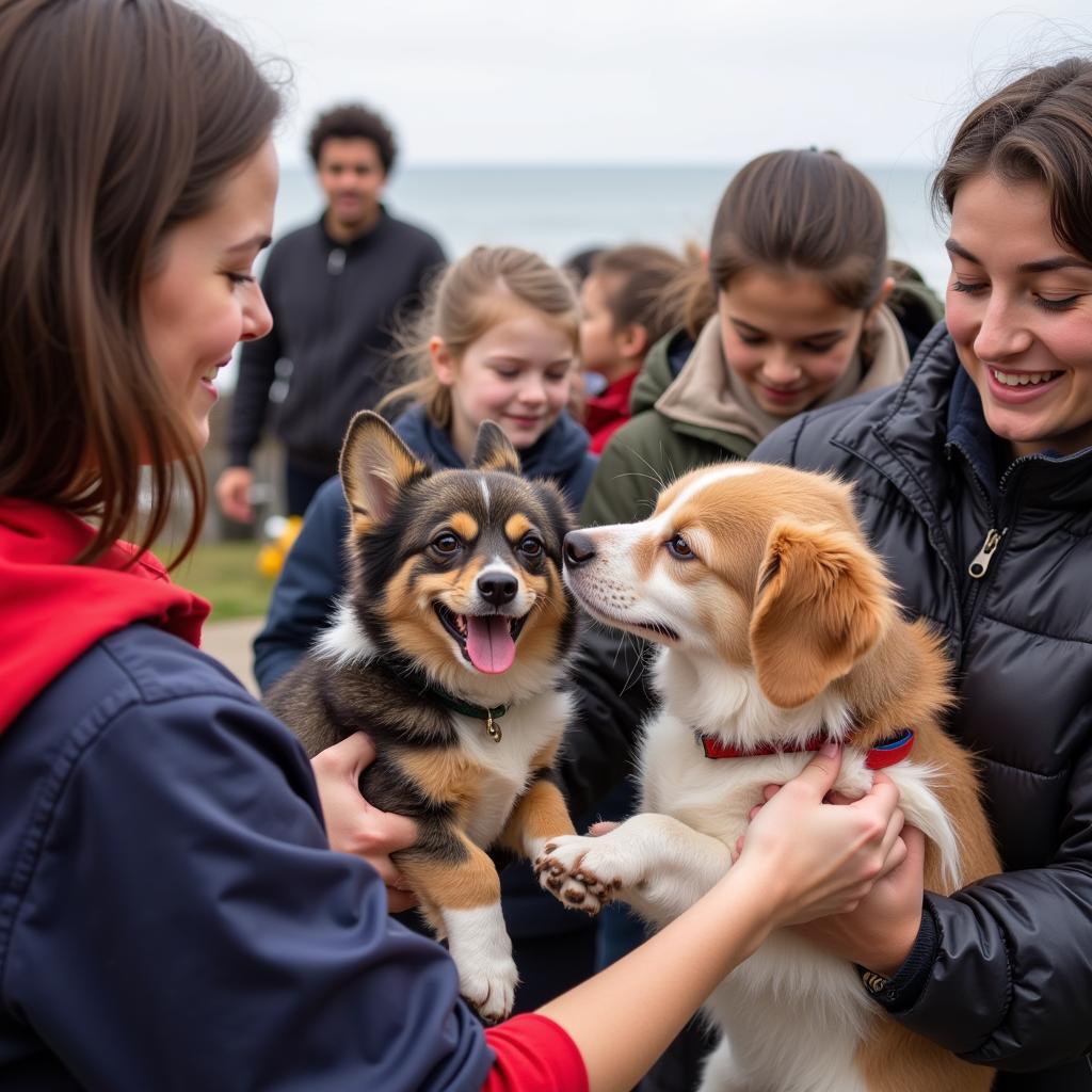 Families interacting with dogs and cats available for adoption