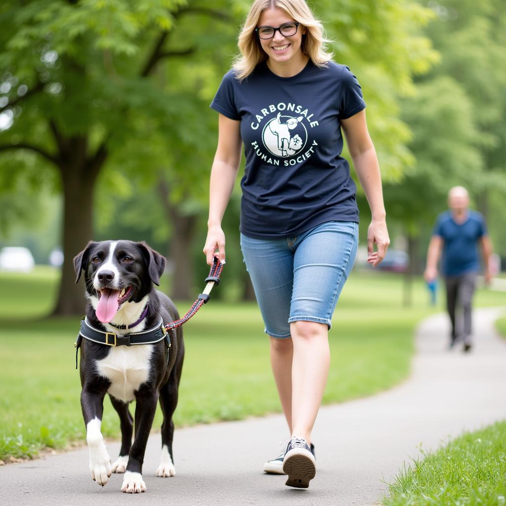 Carbondale Humane Society Volunteering