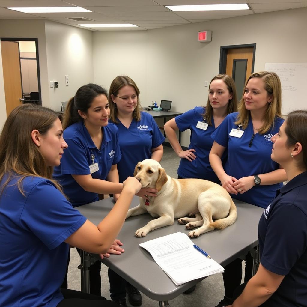 Volunteers being trained to care for animals at the Carson Humane Society.