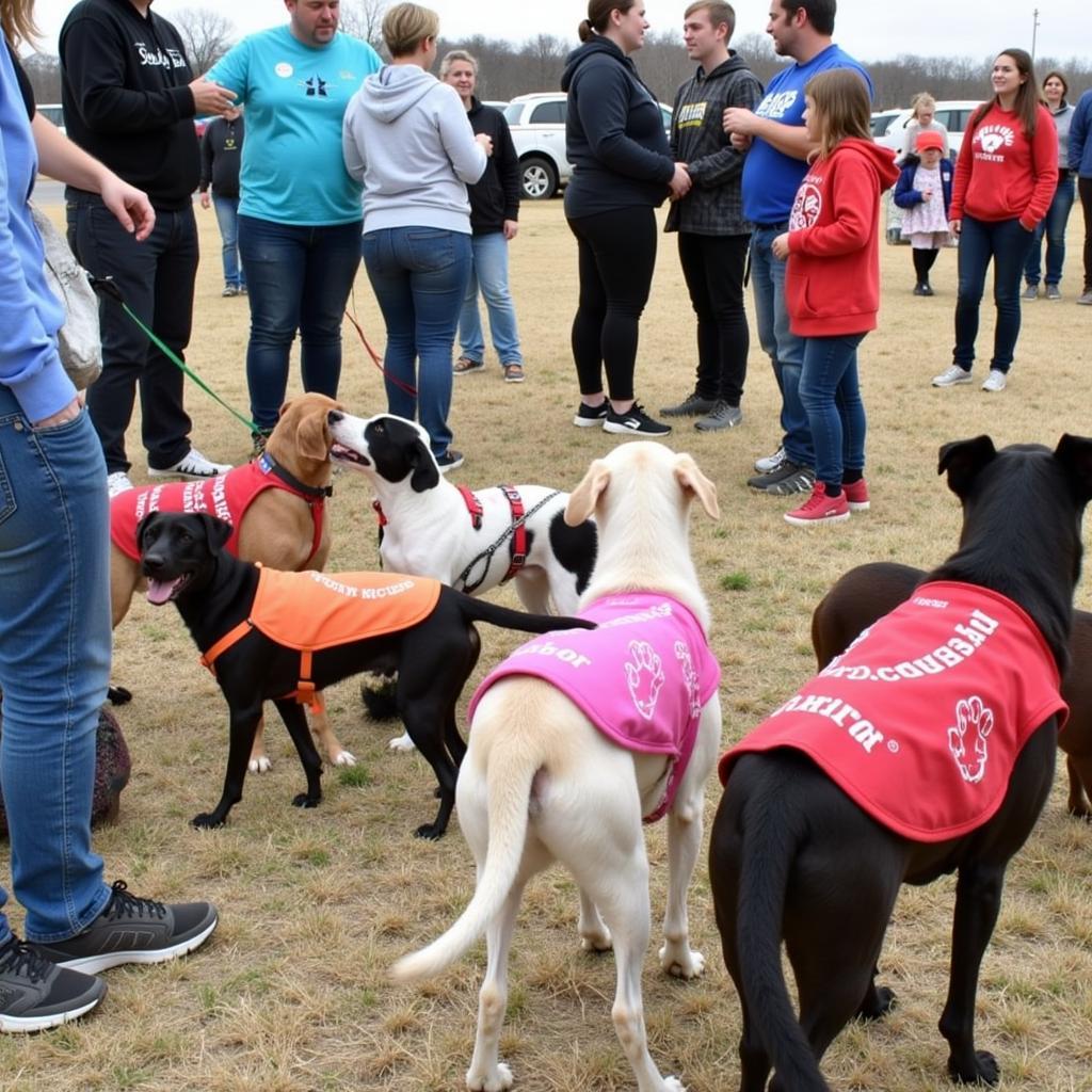 Carthage Humane Society Dog Adoption Event