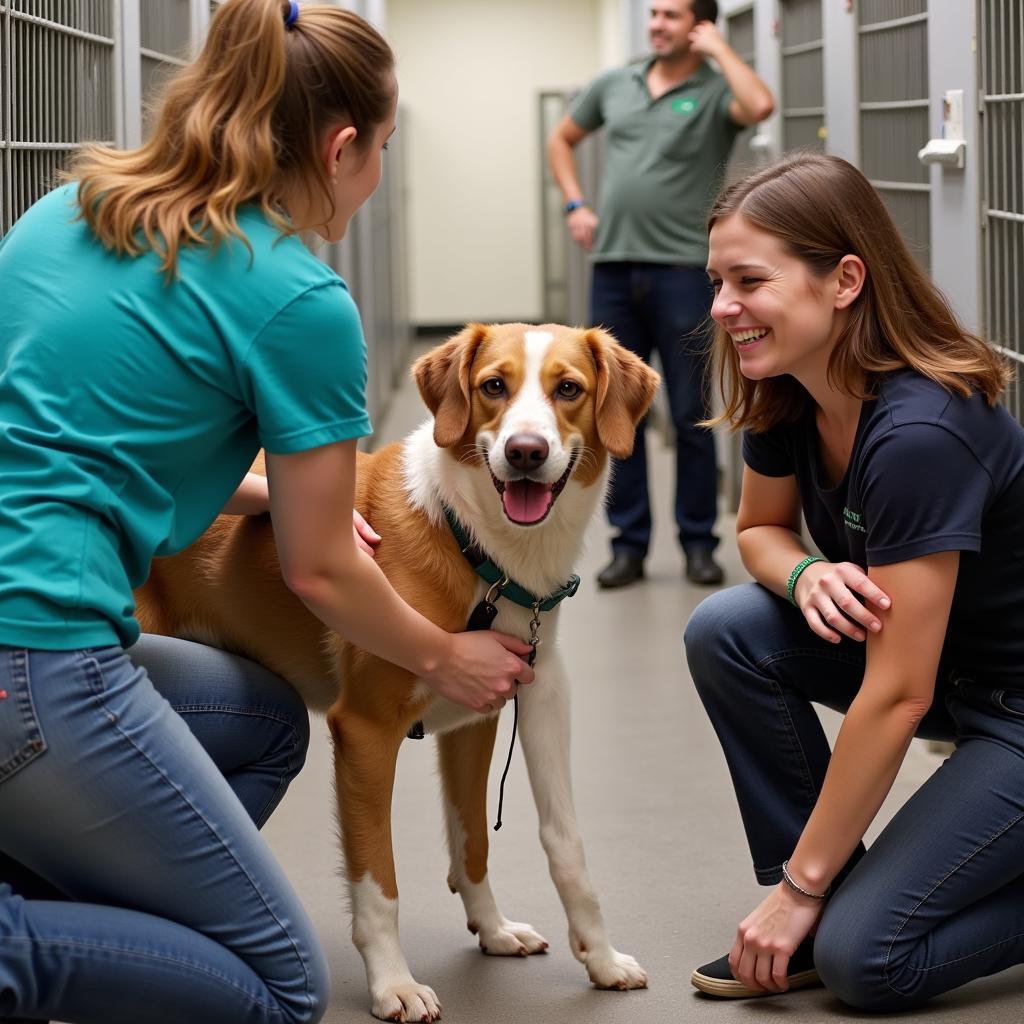 Cascade County Humane Society Volunteers