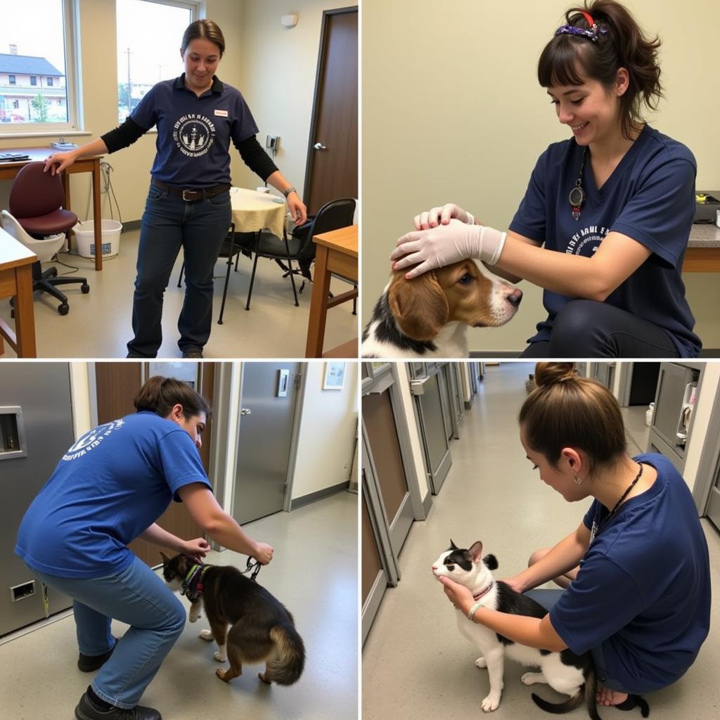 Casper Humane Society Volunteers