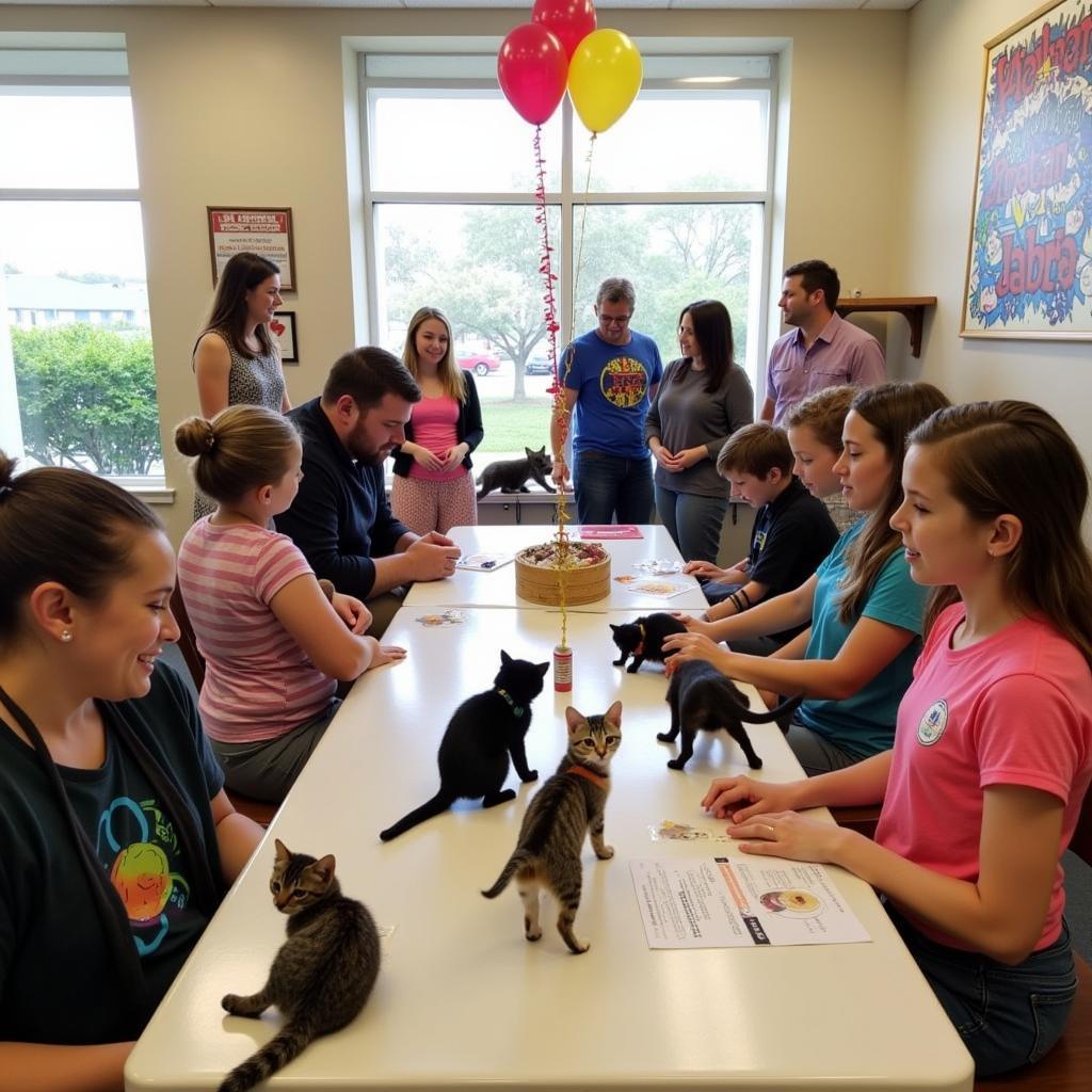 Cat Adoption Event in Eustis, Florida