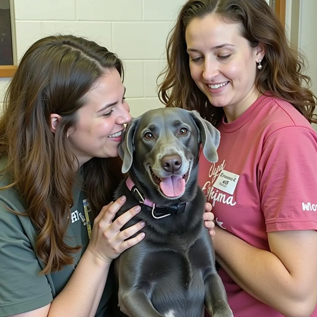 Catskills Humane Society Volunteers