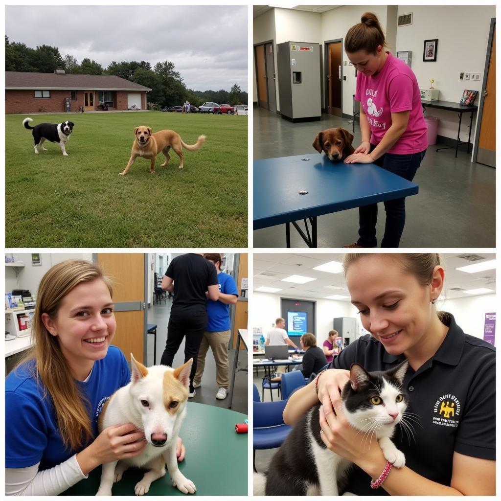 Cecil County Humane Society Volunteers Caring for Animals