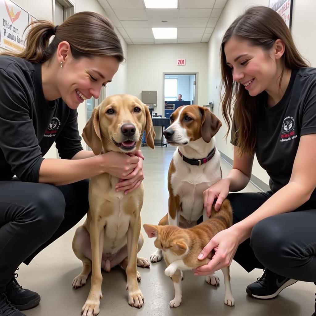 Central Humane Society Volunteers