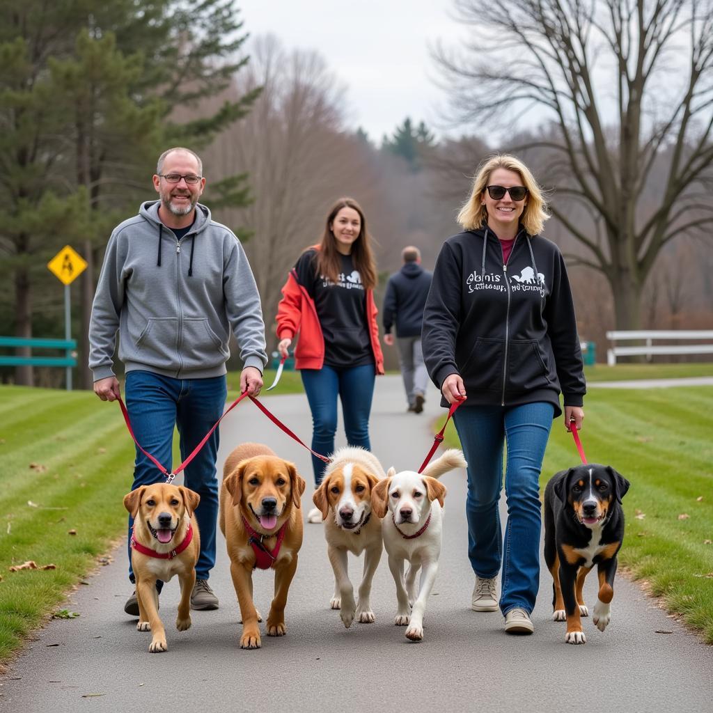 Volunteers happily walking a group of dogs from the Chemung Humane Society