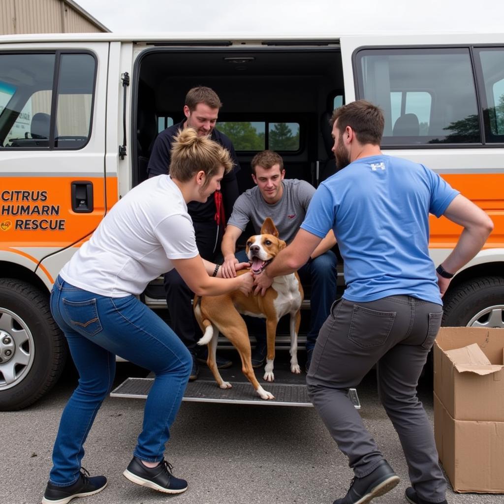 Citrus Humane Society Rescue Team