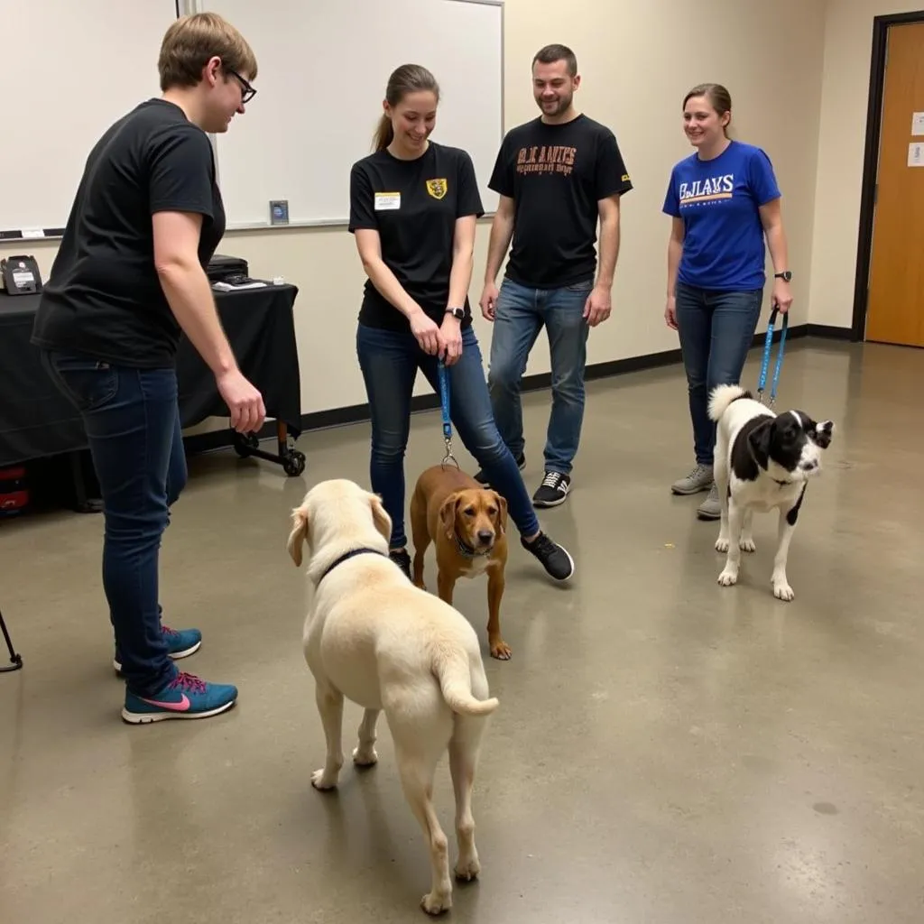 Dog training at Clackamas County Humane Society