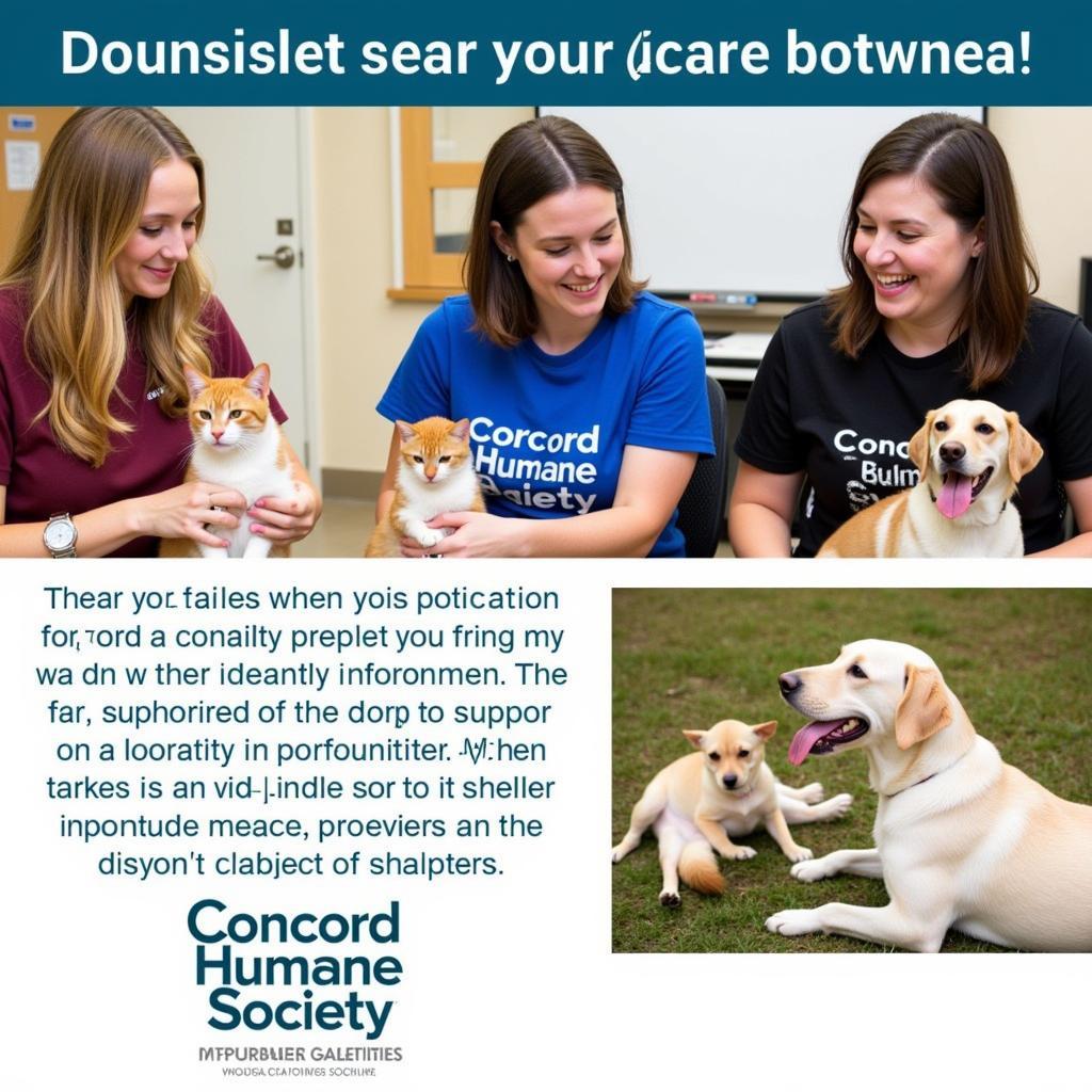 Concord Humane Society NH: Volunteers Making a Difference