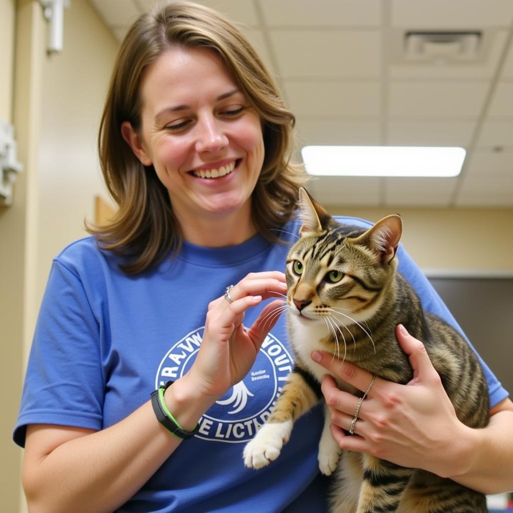 A volunteer at the Crawford County Humane Society gently pets a content cat, showcasing the dedication and love poured into animal care.