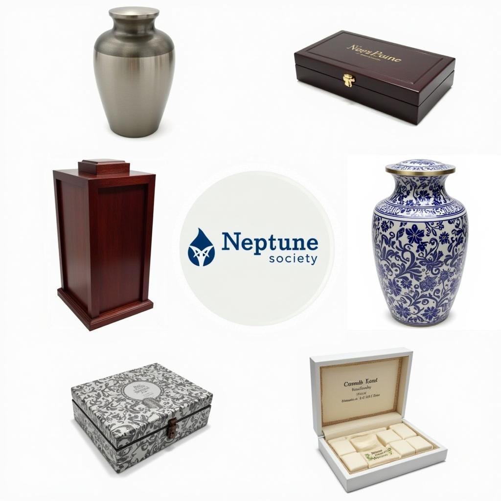 Various cremation options provided by the Neptune Society