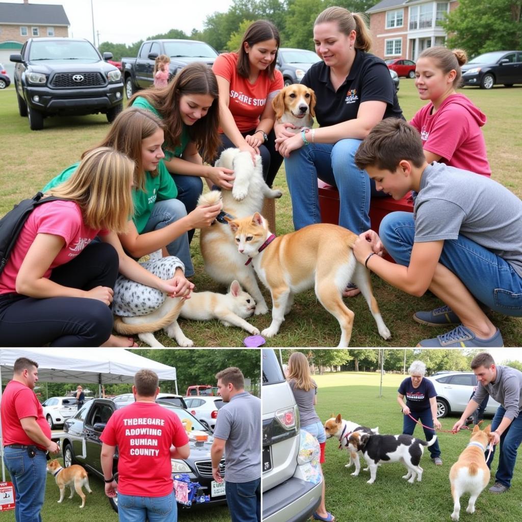 Cullman County Humane Society Adoption Event