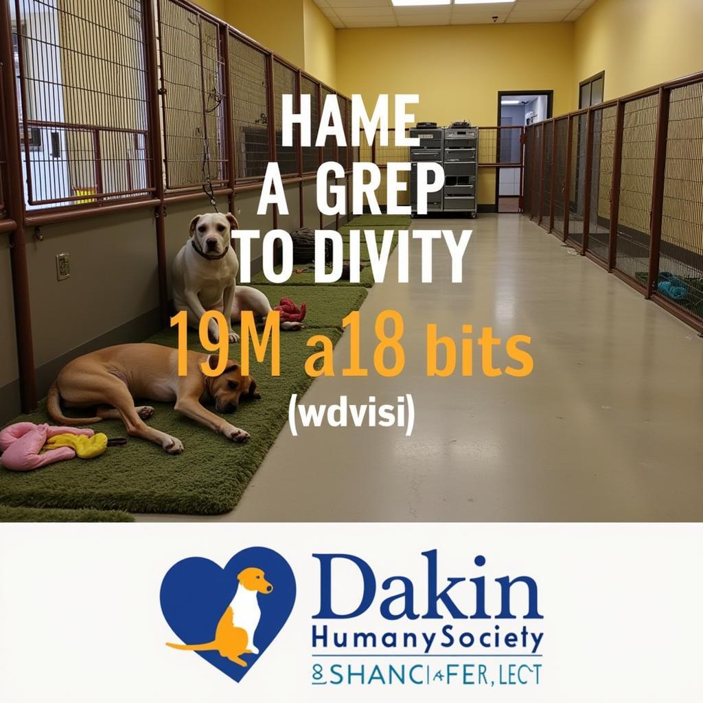 Dakin Humane Society Animal Shelter