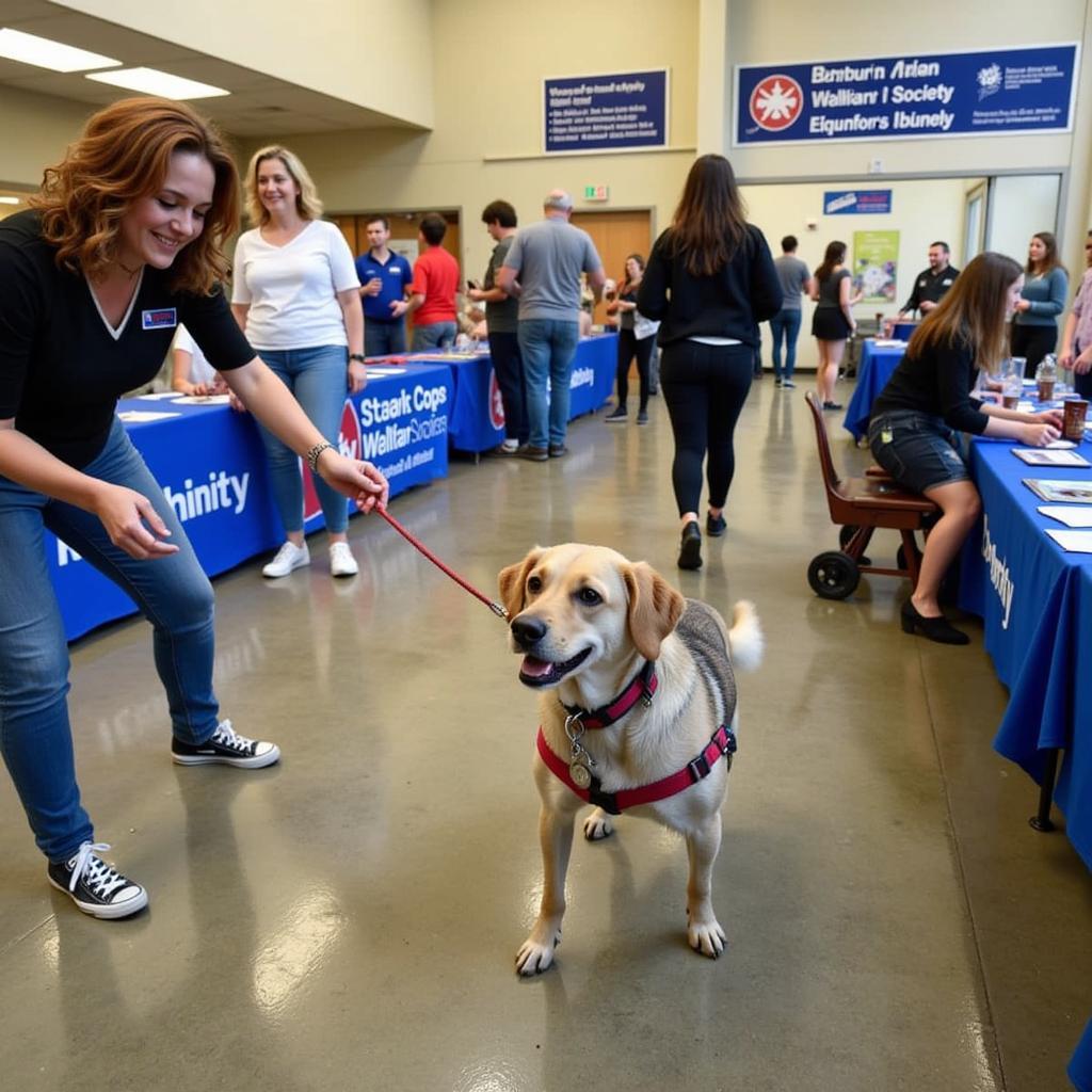 Danbury Animal Welfare Society Adoption Event